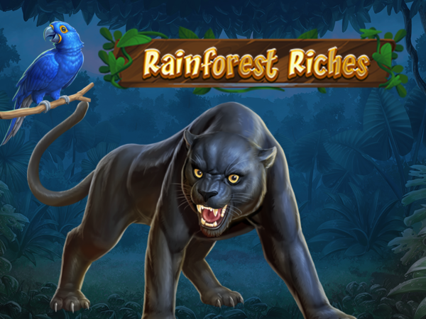 Rainforest Riches