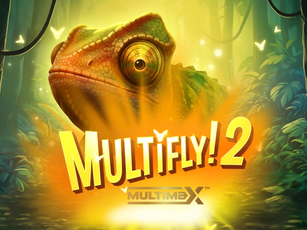Multifly! 2